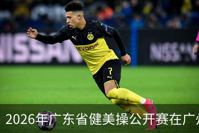 2026年广东省健美操公开赛在广州举行